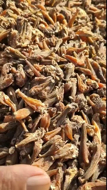 鹤庆县冰球子干货