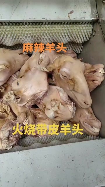 巨野县火烧带皮羊头  纯手工去毛 一手货源  品质保障