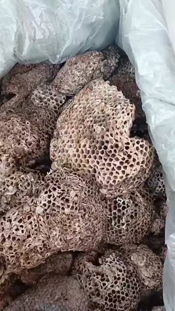 云南中药材蜂房正品蜂巢马蜂窝马峰露蜂房煮水块状