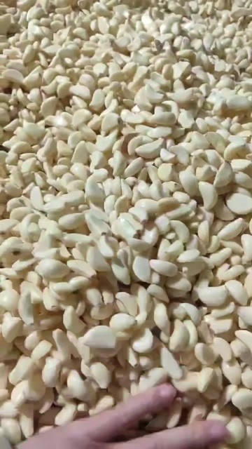 巨野县蒜米工厂直发自有工厂质量保证