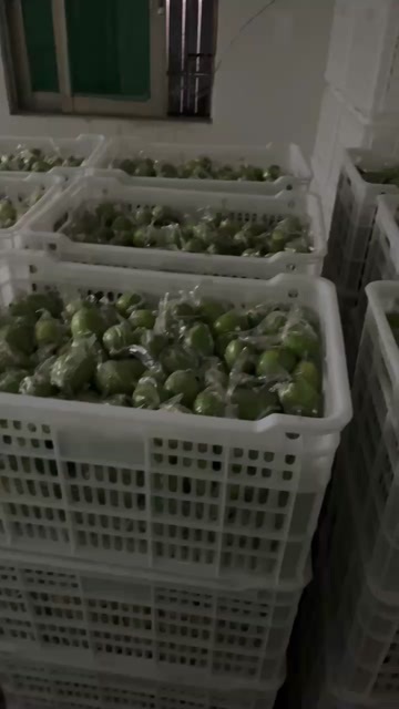 广州网红牛奶枣 价格1.8