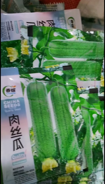 鼎牌優(yōu)比1號肉絲瓜種子種籽南方農(nóng)家早熟春季四季蔬菜種子