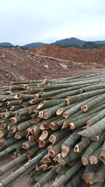 本基地大量供应楠竹，毛竹，竹片等，支持定制，量大价优