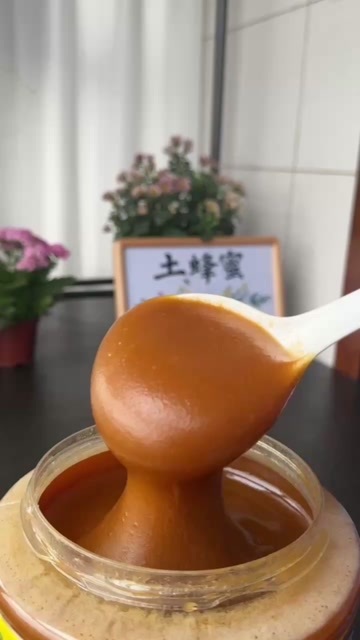 柞水县秦岭深山野生土蜂蜜，年采，中华蜜蜂传统酿造，美波度42.5