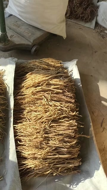 陇西县精品防风
