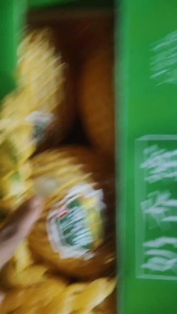 乐东县玉菇脆糯香甜产地直发