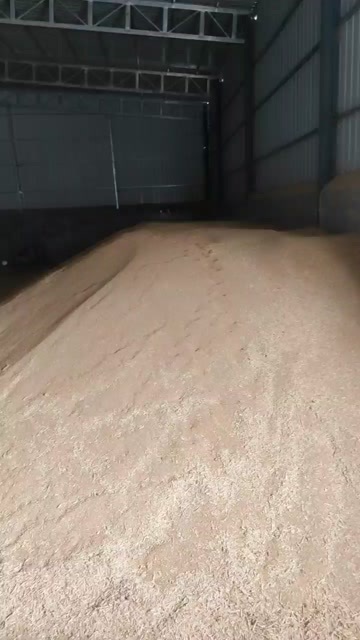 小麦13%以下水份容重820