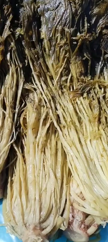 大量供应价位不等的腌渍的雪菜