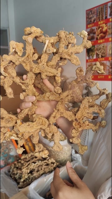 亳州黄精  黄精精品，大个，优质 各种规格