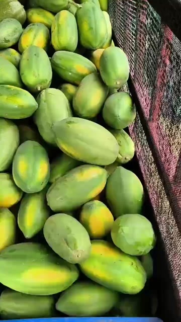 工厂加工红心木瓜