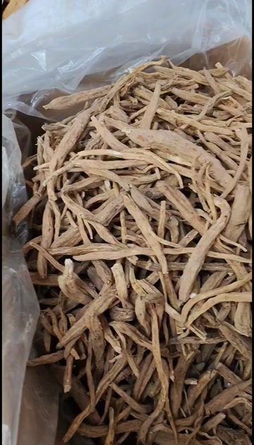 玉林土党参，党参，中药材源头好货，