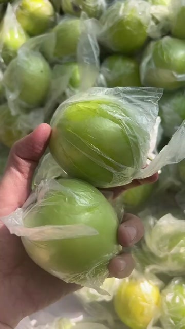 平和县青枣
