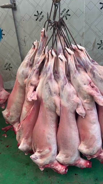 中牟县新鲜内蒙古草原散养羊 羊肉 白条羊 羊酮体 烤全羊 无膻味