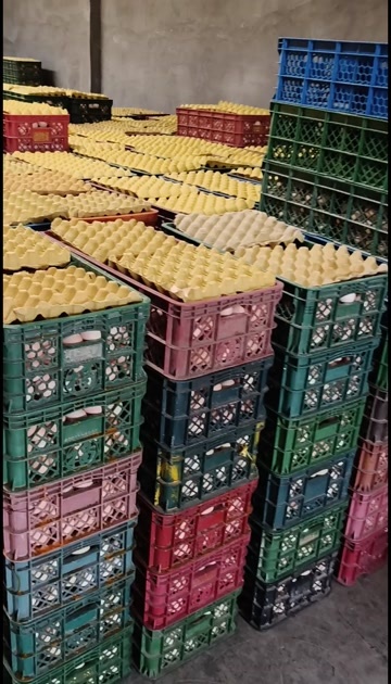 郓城县菏泽济宁郓城周边鸡蛋粉蛋批发销售，距离过远勿扰