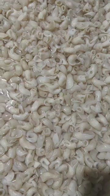 晋江市鱼肚