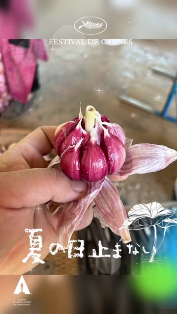 金乡县为助力各位蒜商朋友把握商机，我提供一站式无忧服务。专业团队