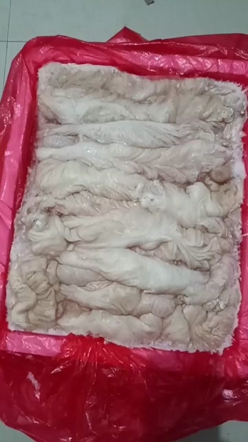 钟山县新鲜冷冻猪大肠