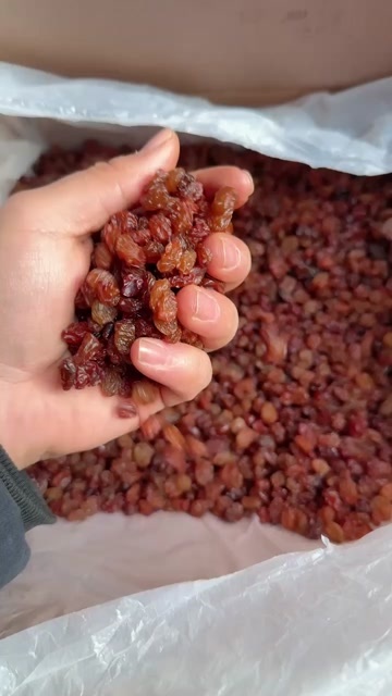 哈尔滨新疆吐鲁番市红葡萄干 哈尔滨发货 新鲜直供 小颗粒红葡萄干