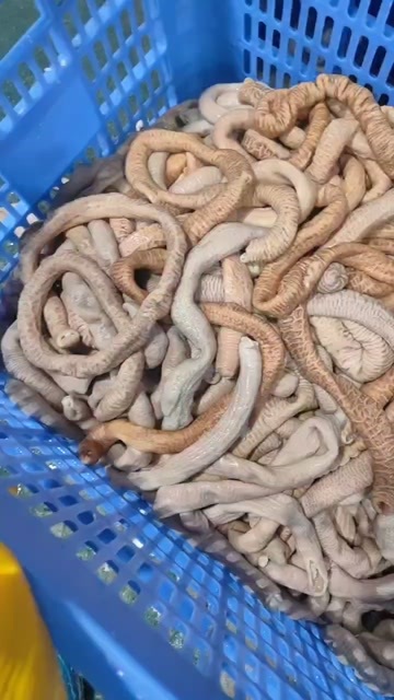 厦门屠宰厂每天现宰现加工