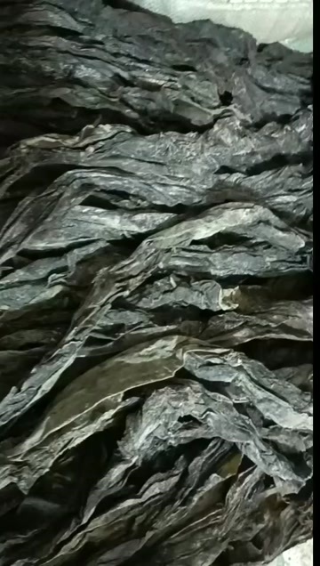 莆田福建海带干海带批发海带干货商用整条火锅煲汤凉拌菜海带裙带菜结