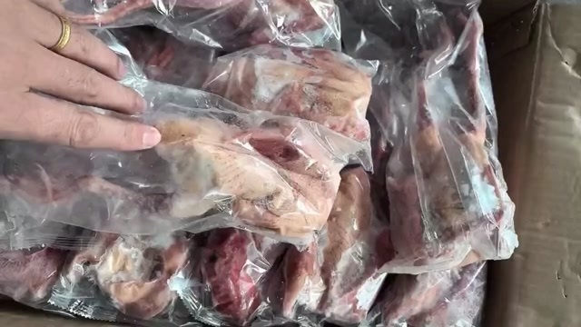 临沂乳鸽