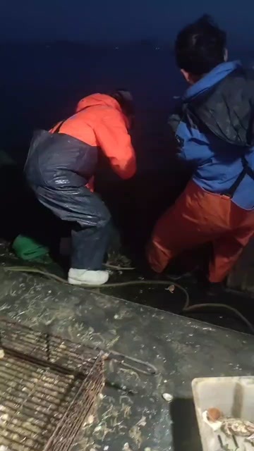 丁字湾黄蚬子