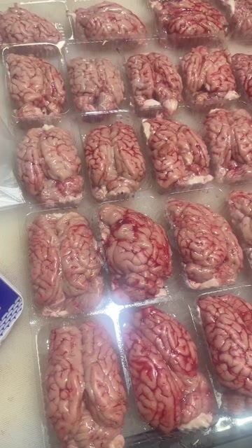 郑州猪脑，多少都发，运费自理，两元一个