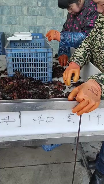 监利市小龙虾