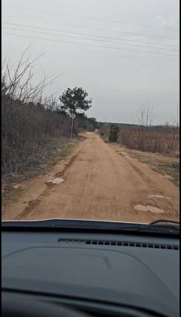 肥东县土鸡蛋 合肥区域3箱起送货上门 虫草蛋 双色粉 草鸡蛋
