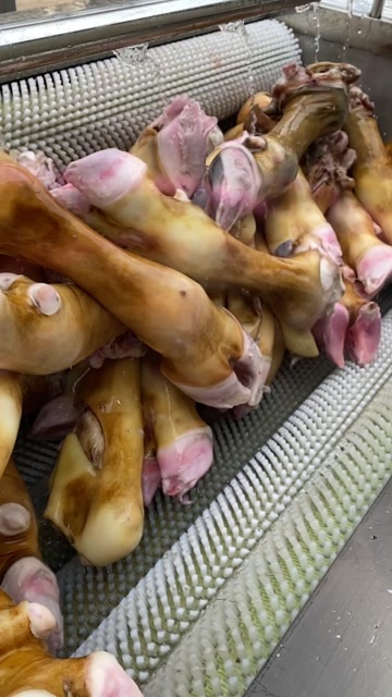 献县火烧牛蹄全去骨，半去骨，牛蹄皮，牛蹄主筋，副筋。