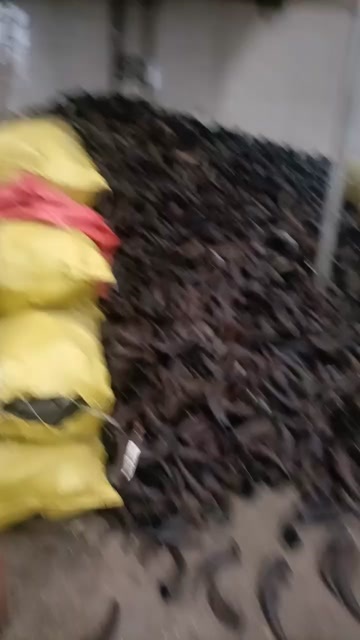 牦牛角、黄牛角