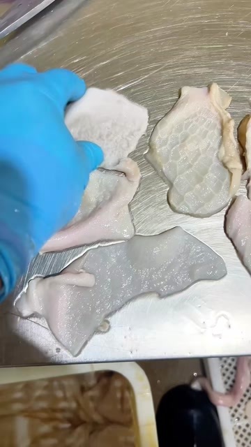河间市羊净肚边角料，辣炒，炖煮，凉拌，价格不高