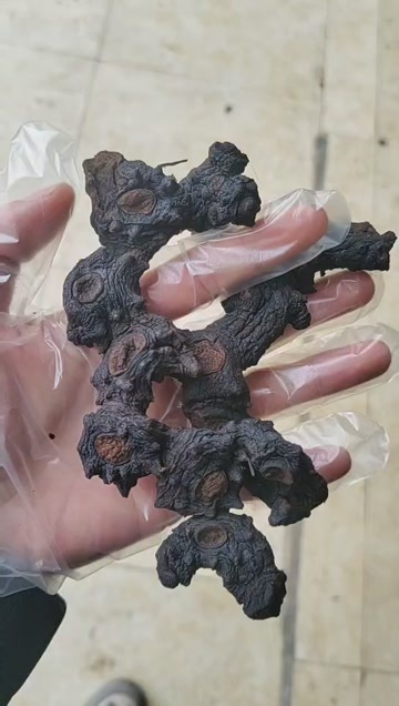 北海九蒸九晒黄精  65一斤  20斤起批  包邮
