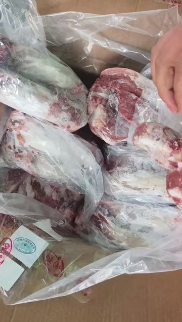 沂南县纯干口条20个左右