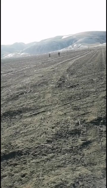 东乌旗内蒙古自治区锡林郭勒盟乌拉盖境内大面积农耕地出租，旱田水浇地