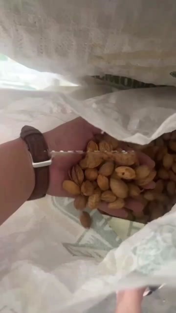 杭州巴旦木澳洲巴旦木源头厂家直销