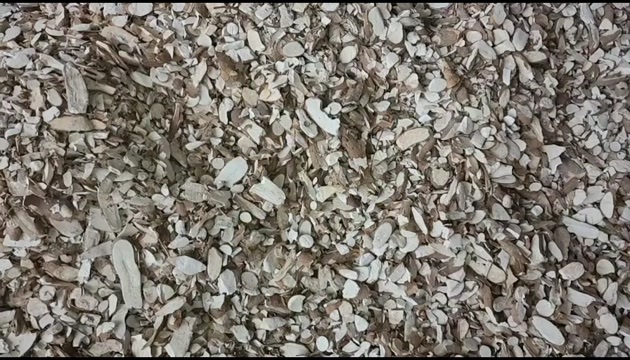 龙州县木薯粉 木薯片