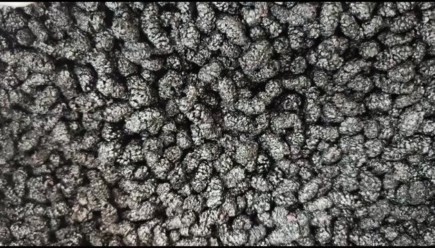 成都桑葚果实 干货农产品批发零售