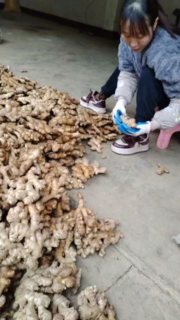镇宁县贵州二黄姜