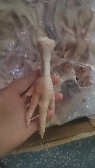 广州巴西鸡脚35+ 每月20个柜 现货供应 广州深圳仓库