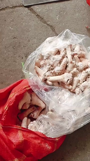 昆明短尾巴