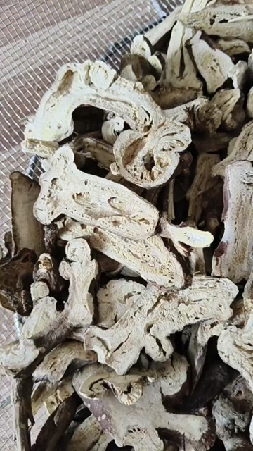 亳州二年白术蜂窝片，无熏硫