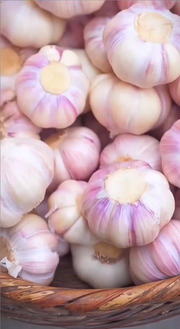 中牟县大蒜