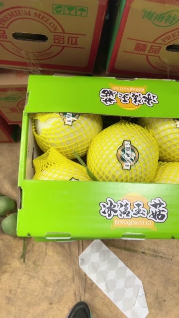 莘县冰淇淋玉菇甜瓜洋香瓜