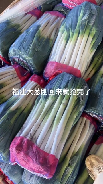 邯郸广东大葱福建大葱，大量有货￼