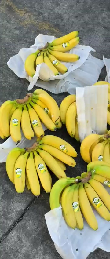 香蕉