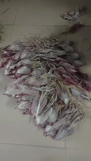 陆丰市广东汕尾陆丰优质鱿鱼干水产加工批发零售