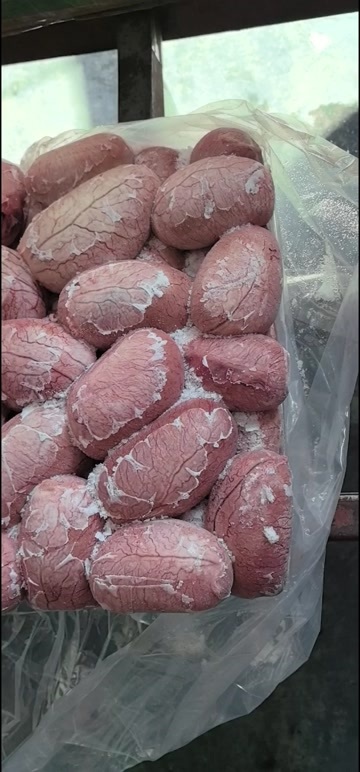 临沂精修猪宝