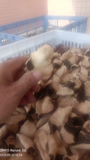 江门19年，21年新会陈皮(角皮)性价比高，甜糯香味，
