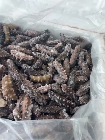 龙口市海参即食口感